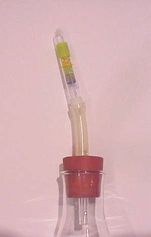 Probe auf Alkohol mit einem Testr&ouml;hrchen