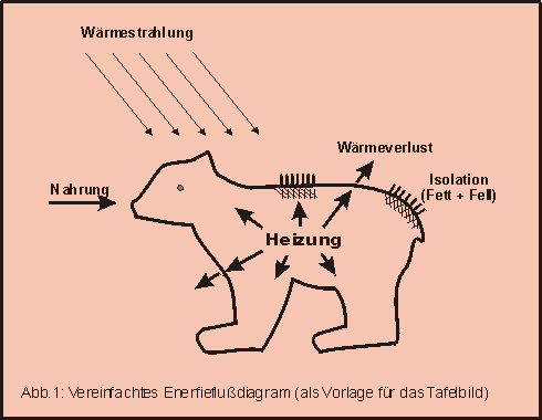 Schema Tafelbild