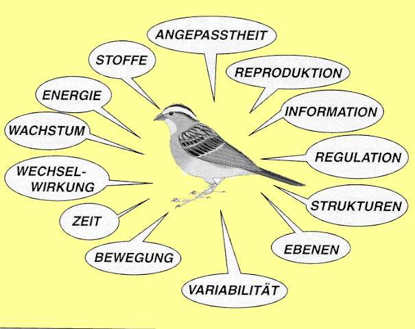 M�gliche Erschlie�ungsfelder